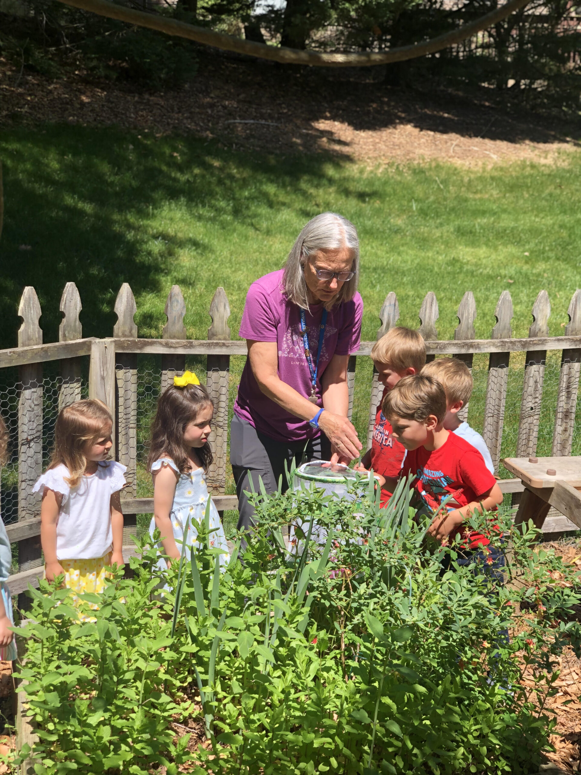 Mrs. Cunningham showing the 3-day 3s some insects in the garden.